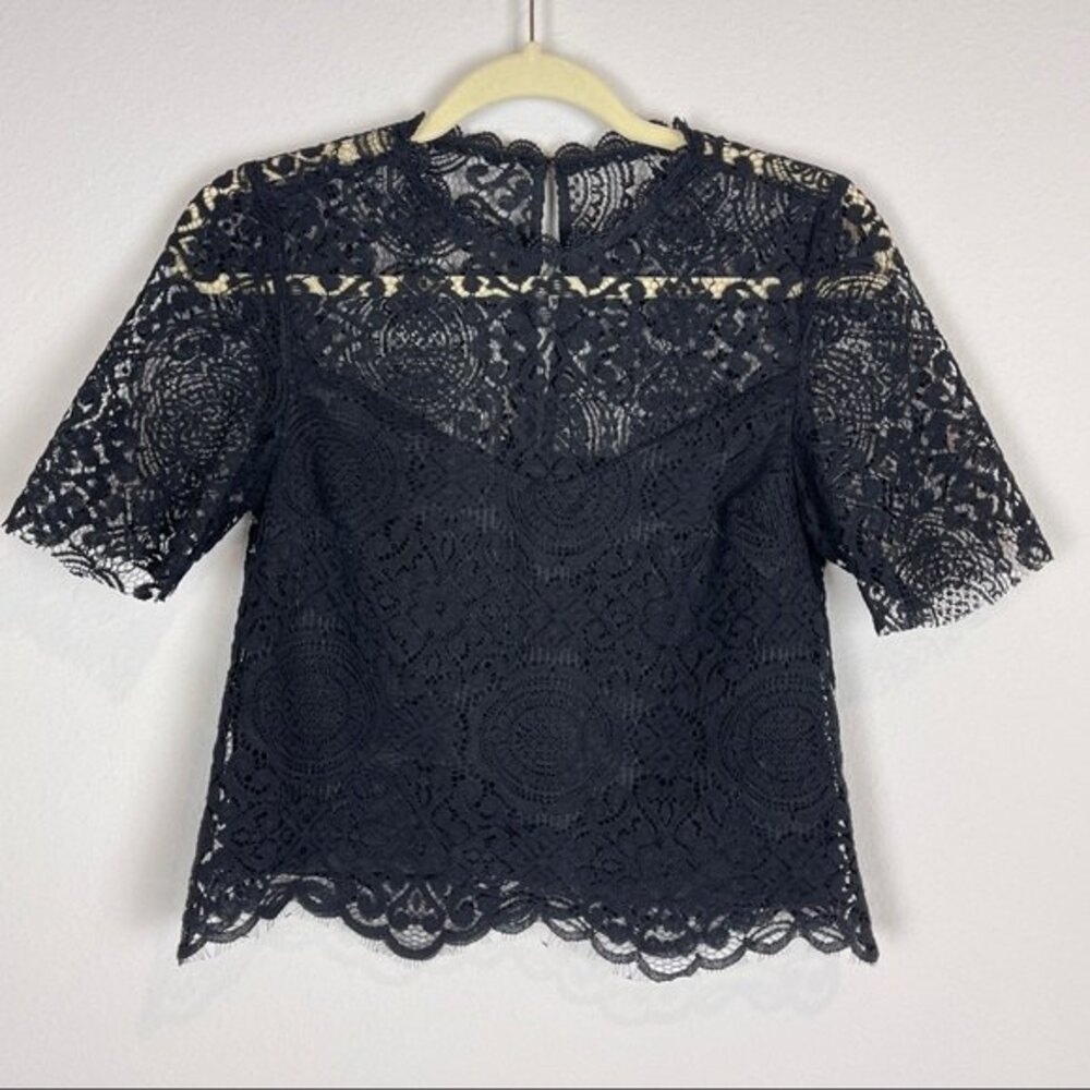 BB Dakota Black Lace Short Sleeve Cropped Top XS